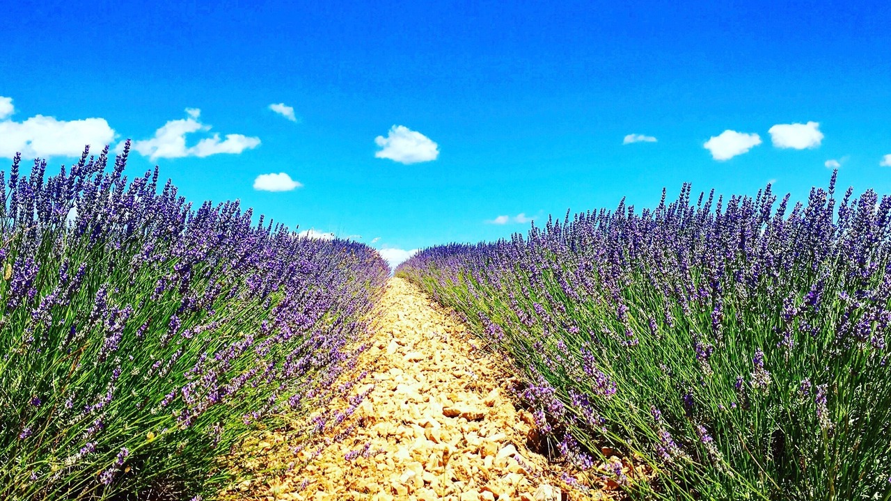 Photo of Outdoor in Sablet