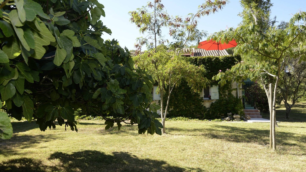 Photo of Outdoor in Saint-Mitre-les-Remparts
