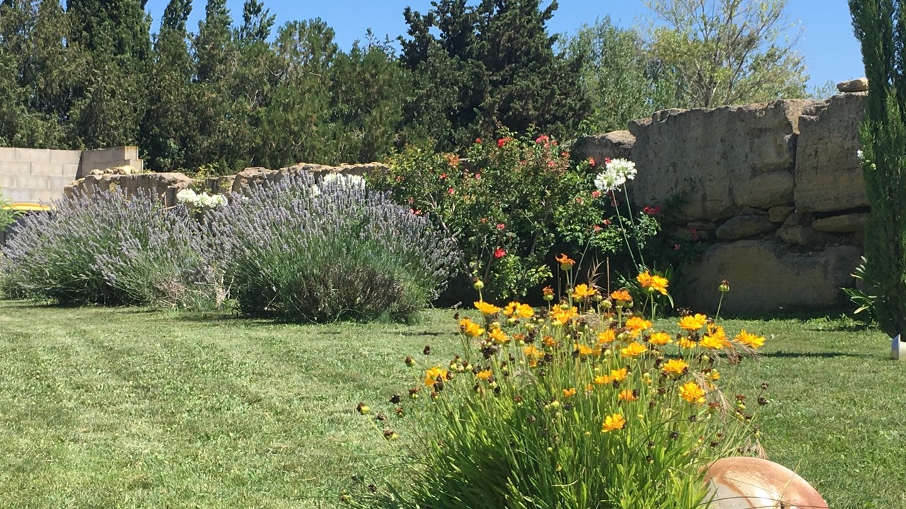Photo of Outdoor in Sernhac