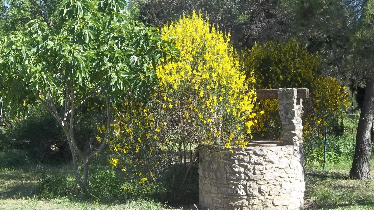 Photo of Outdoor in Saze