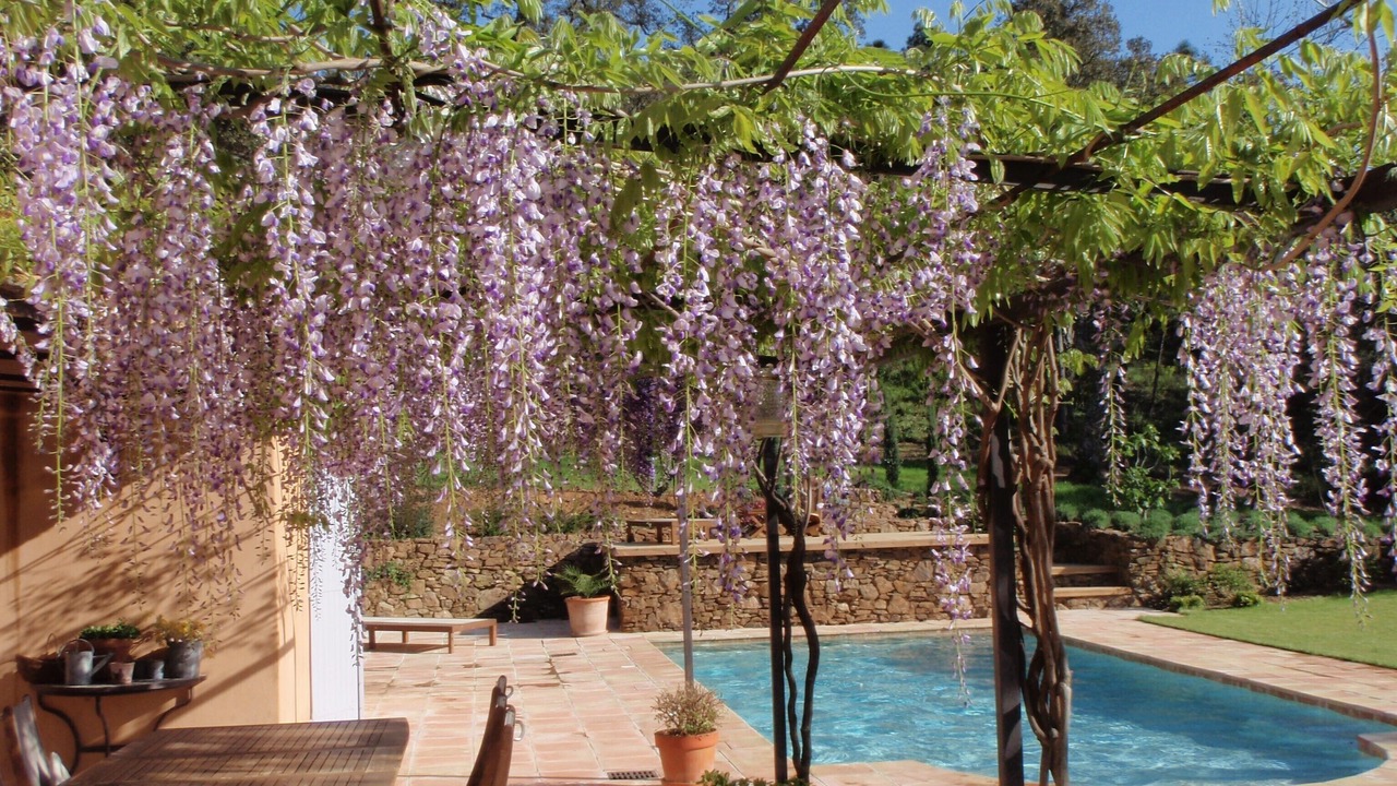 Photo of Outdoor in Cogolin