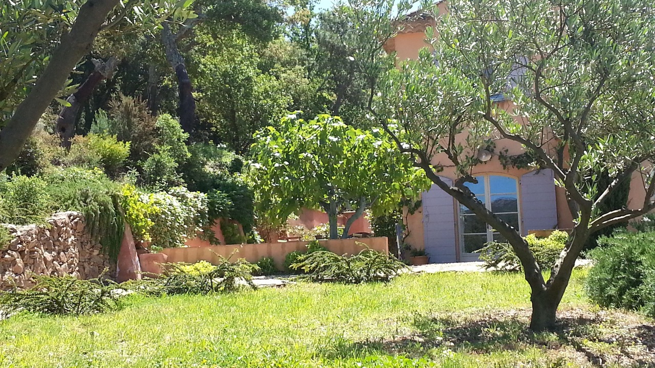 Photo of Outdoor in Cogolin