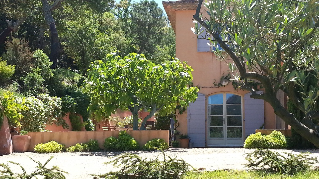 Photo of Outdoor in Cogolin