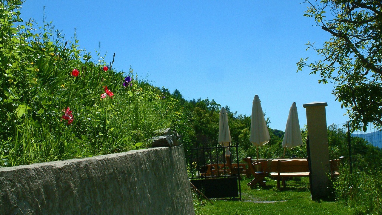 Photo of Outdoor in Venterol