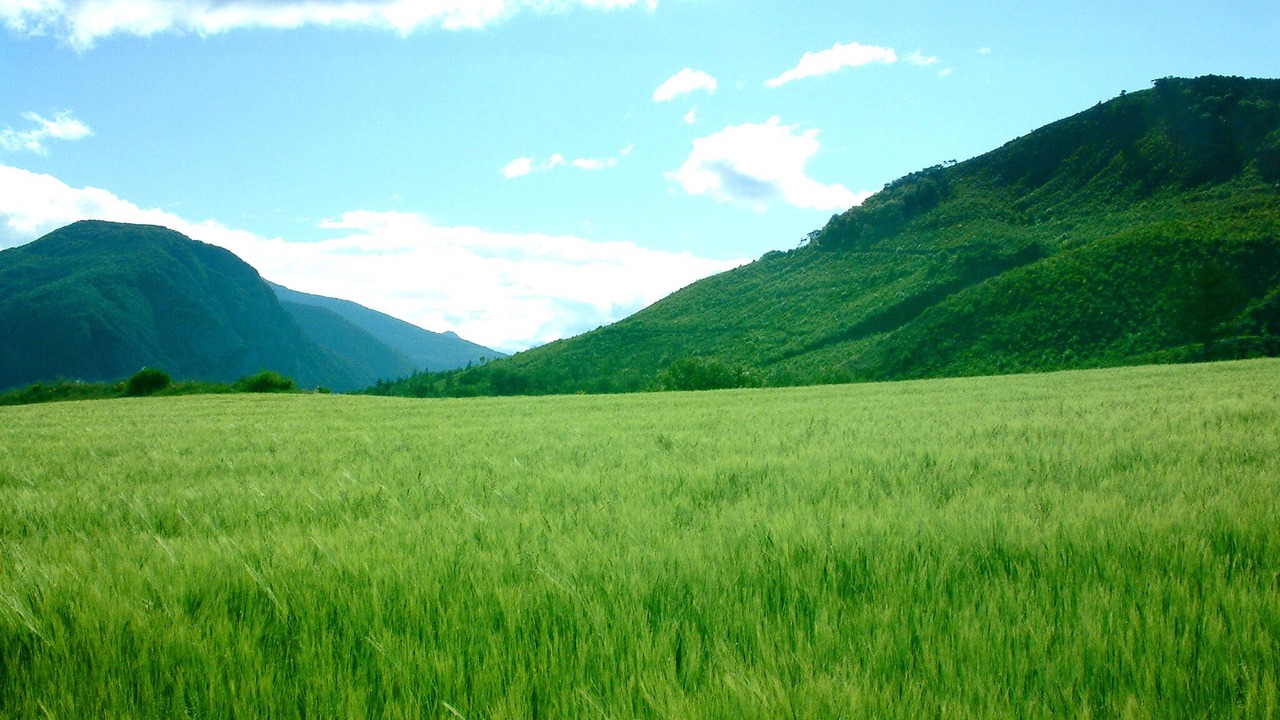 Photo of Outdoor in Venterol