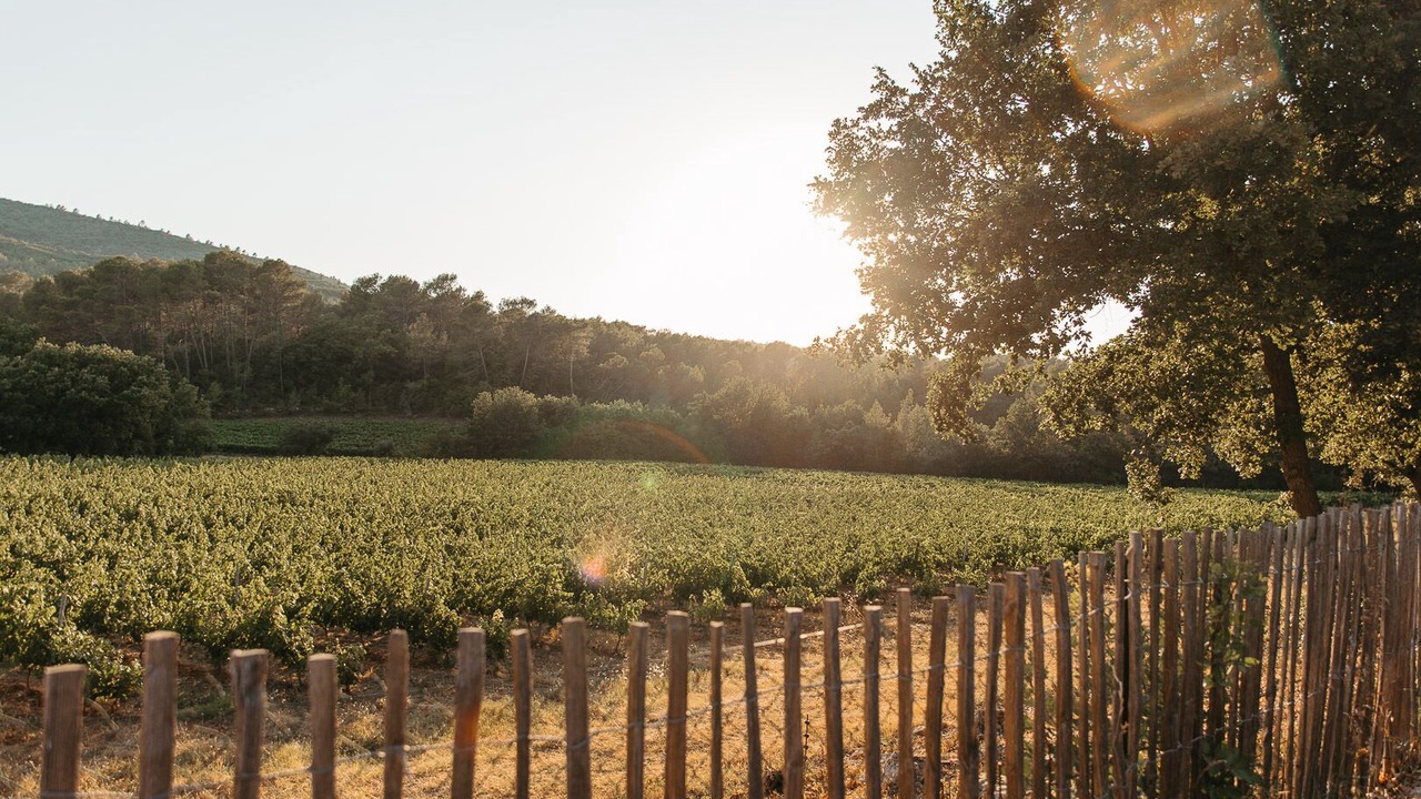 Photo of Outdoor in Le Thoronet