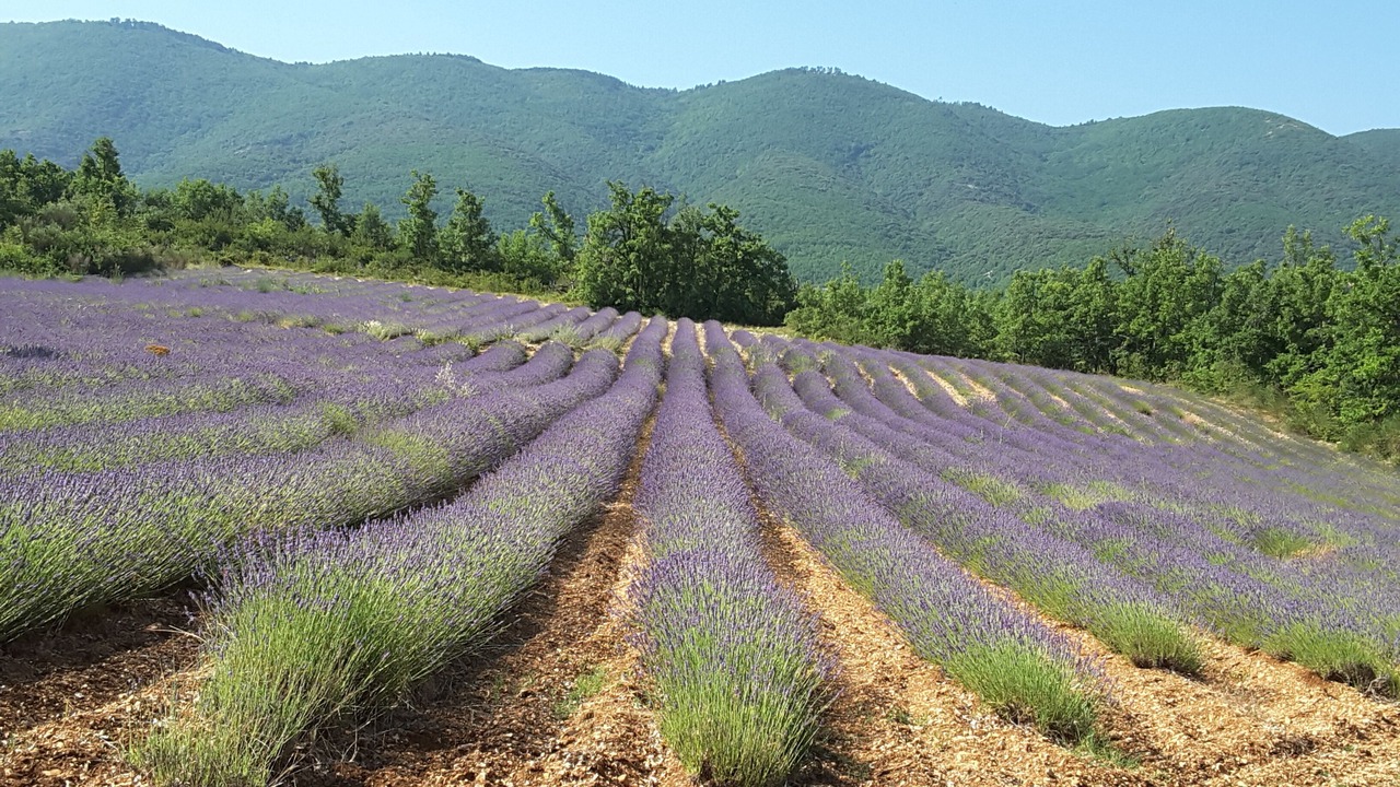 Photo of Outdoor in Saint-Martin-de-Castillon
