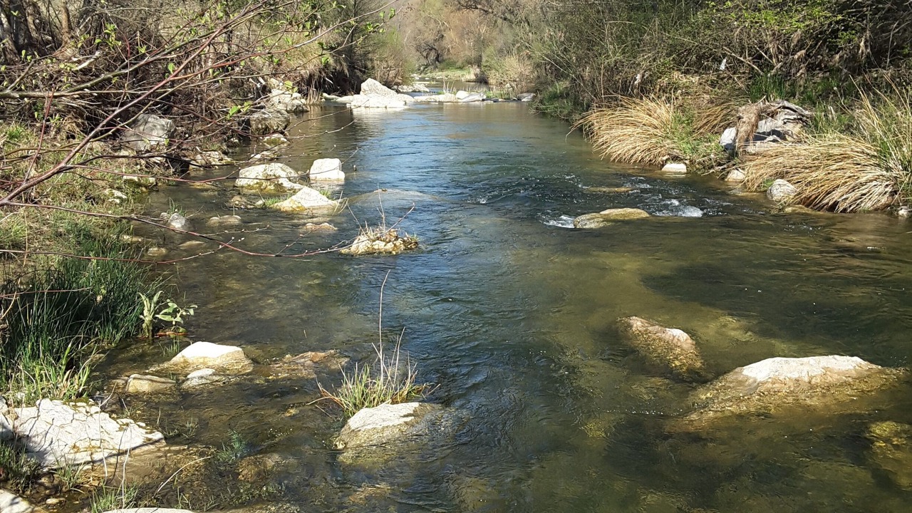 Photo of Outdoor in Saint-Martin-de-Castillon
