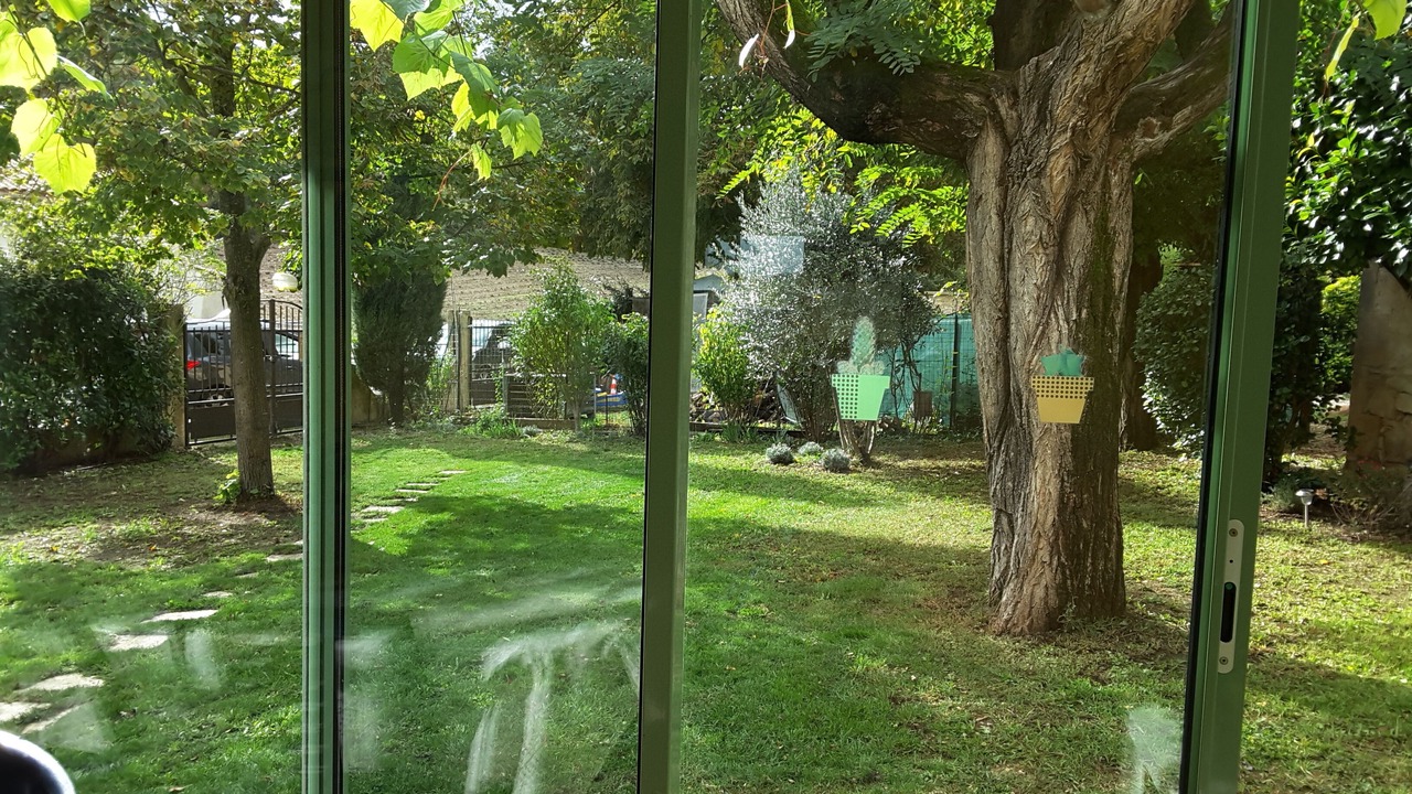 Photo of Others in Saint-Martin-de-Castillon
