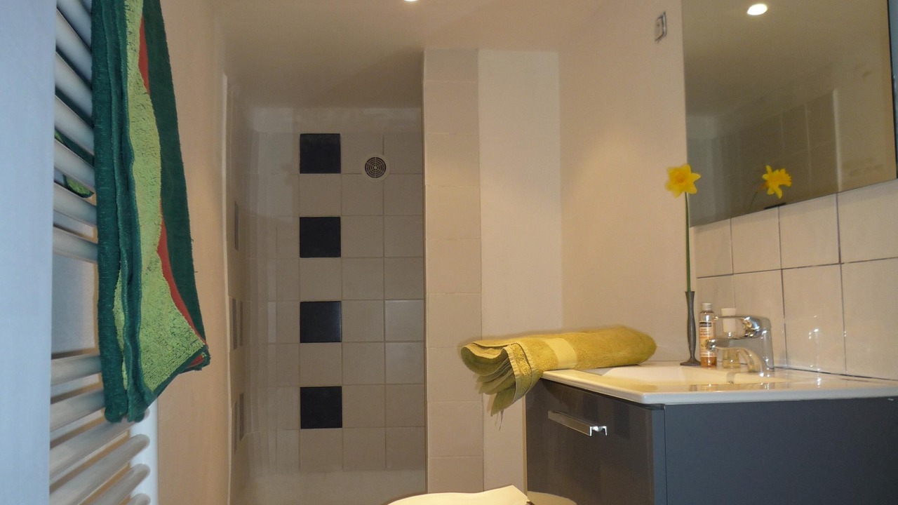Photo of Bathroom in Saint-Julien