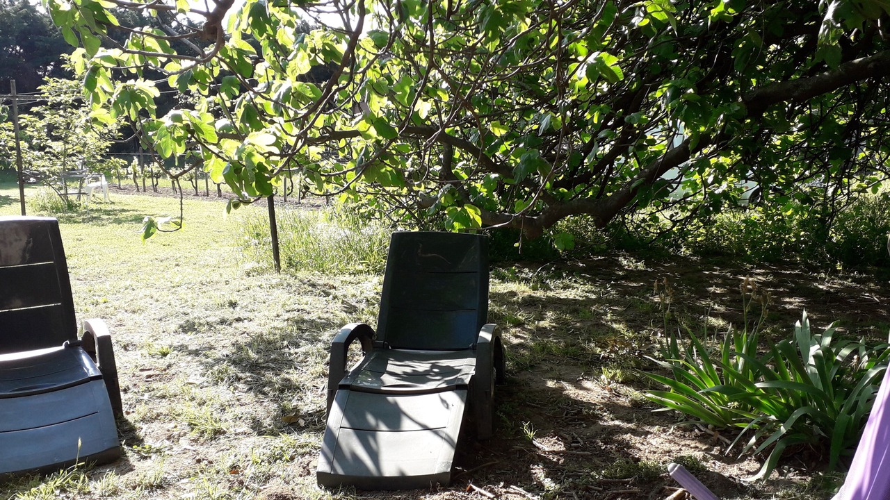 Photo of Outdoor in Meynes
