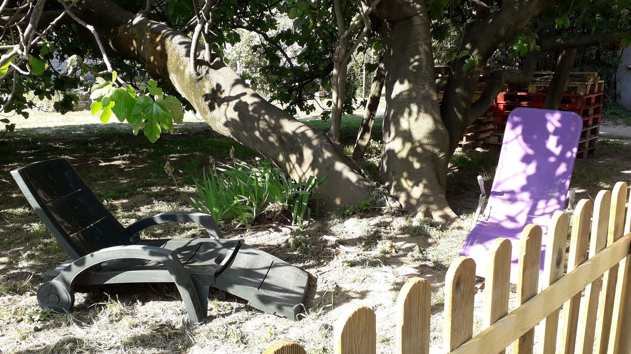 Photo of Outdoor in Meynes