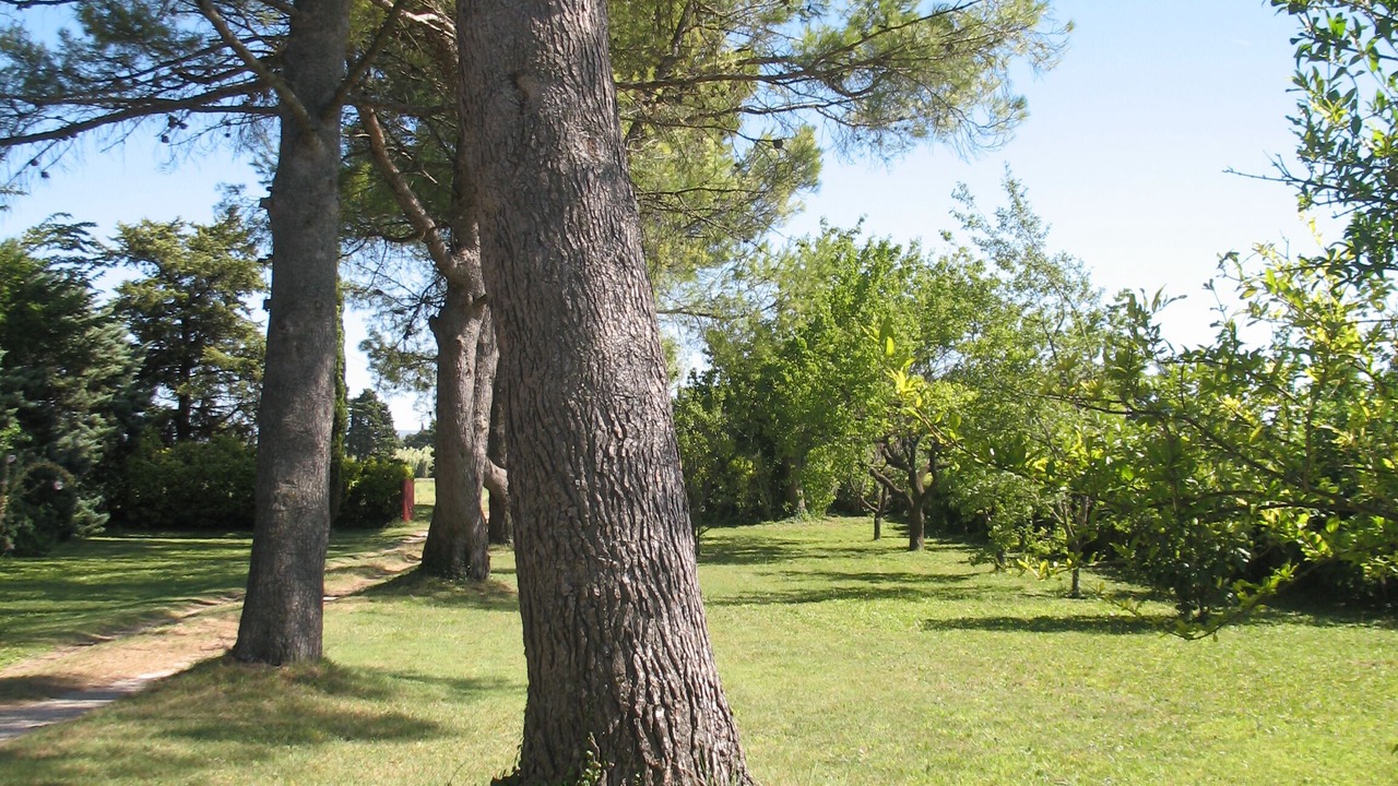 Photo of Others in Velleron