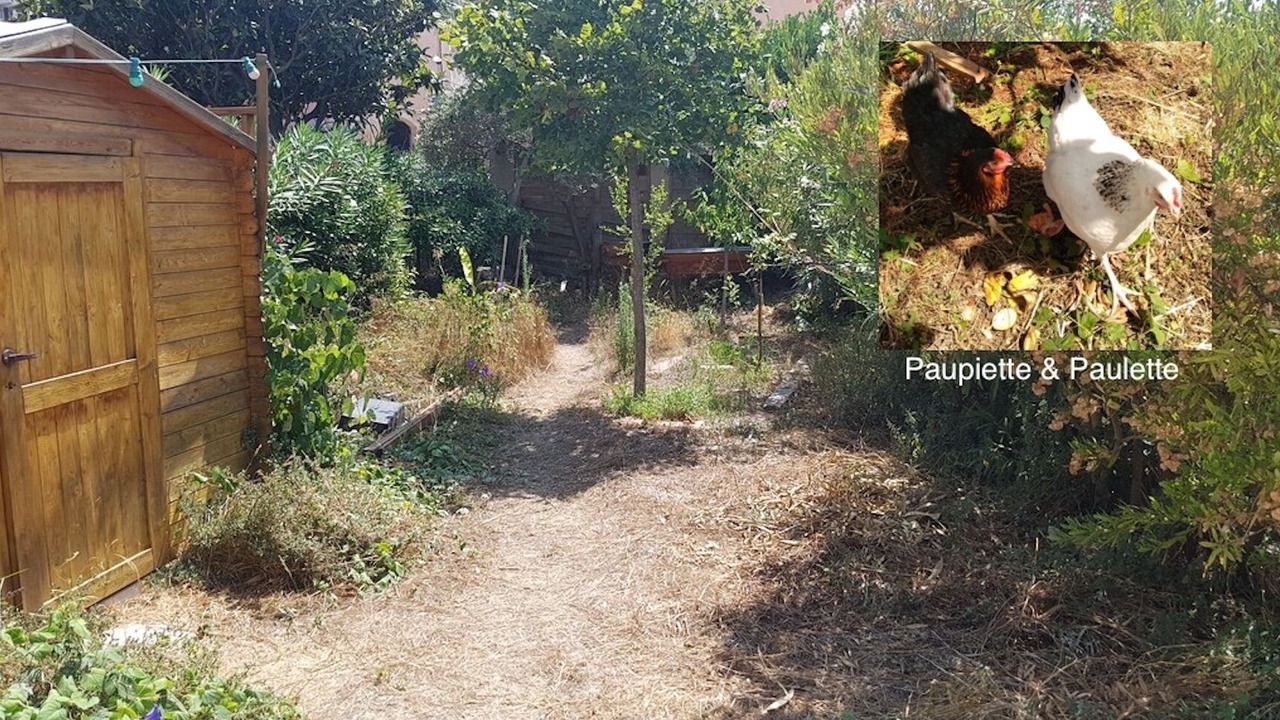 Photo of Outdoor in Carry-le-Rouet