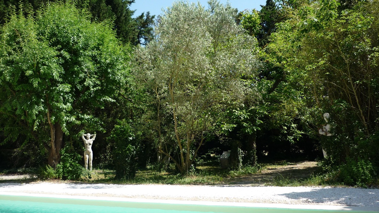 Photo of Outdoor in Noves
