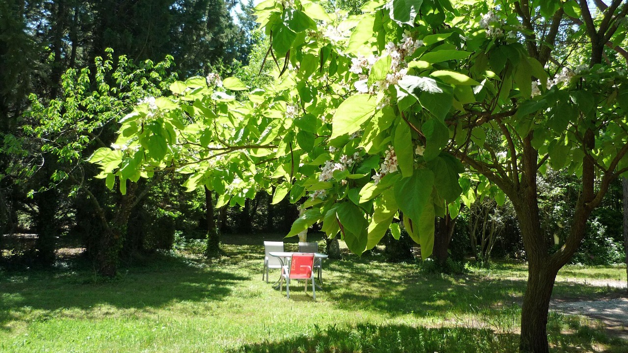 Photo of Outdoor in Noves