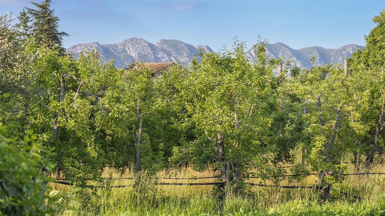 Photo of Outdoor in Molleges