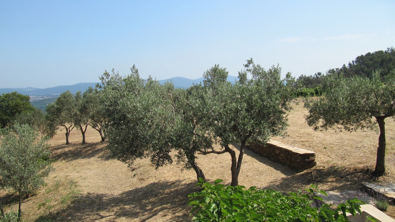 Photo of Others in La Garde-Freinet