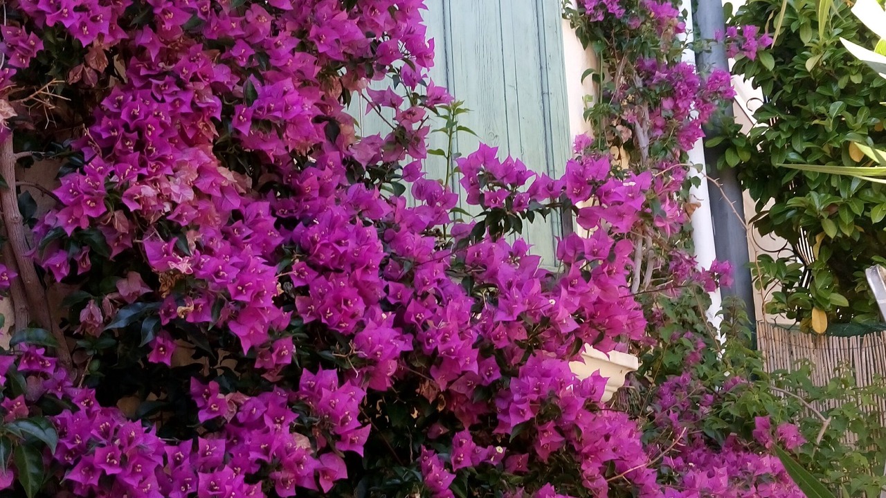 Photo of Outdoor in 12th Arrondissement