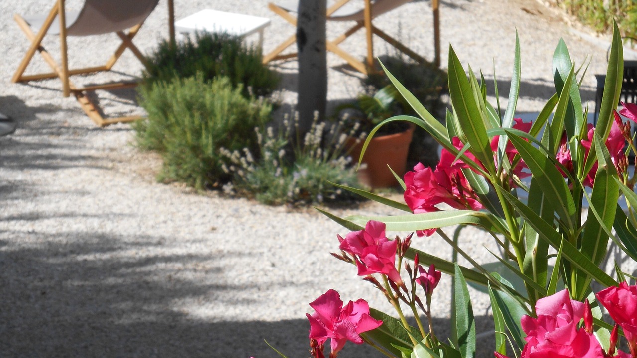 Photo of Outdoor in 12th Arrondissement