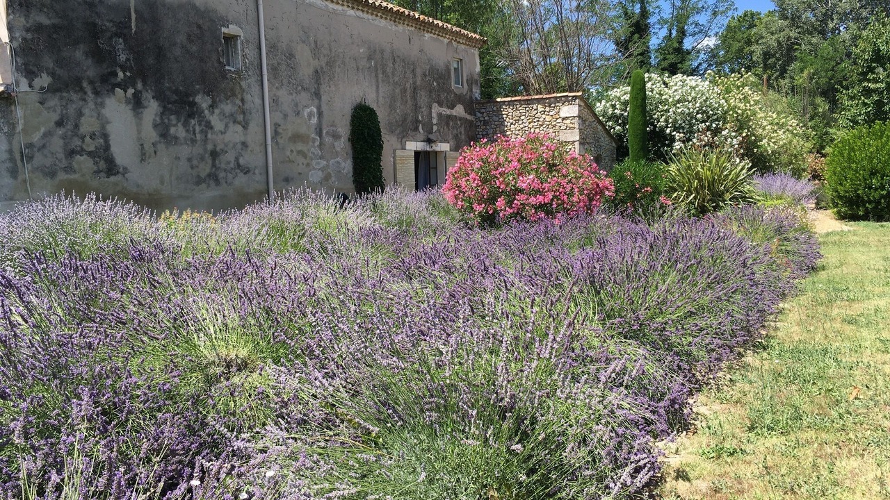 Photo of Outdoor in Saint Pierre de Mezoargues