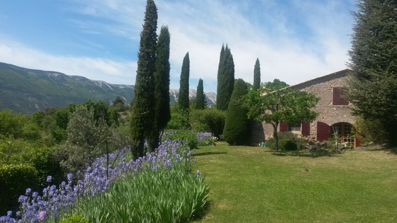 Photo of Outdoor in Savoillan