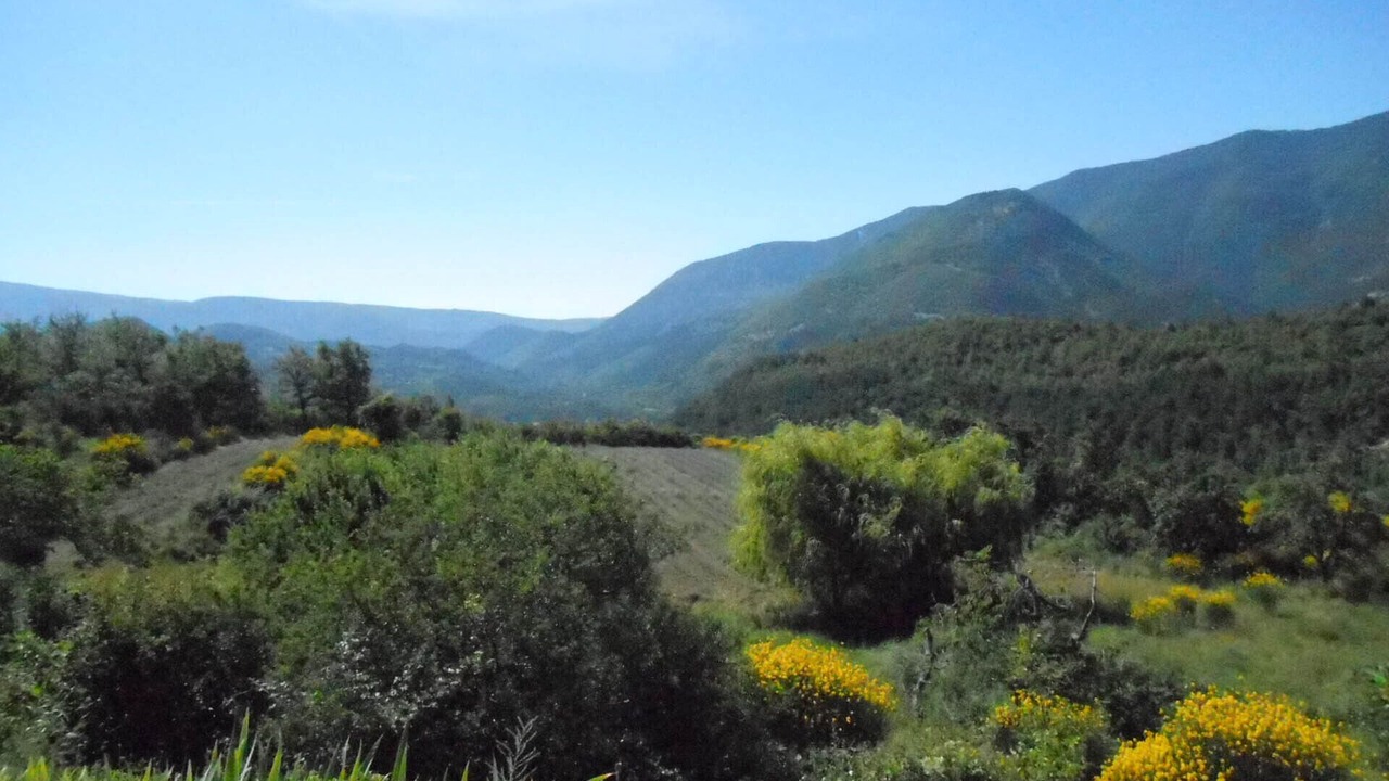 Photo of Outdoor in Savoillan