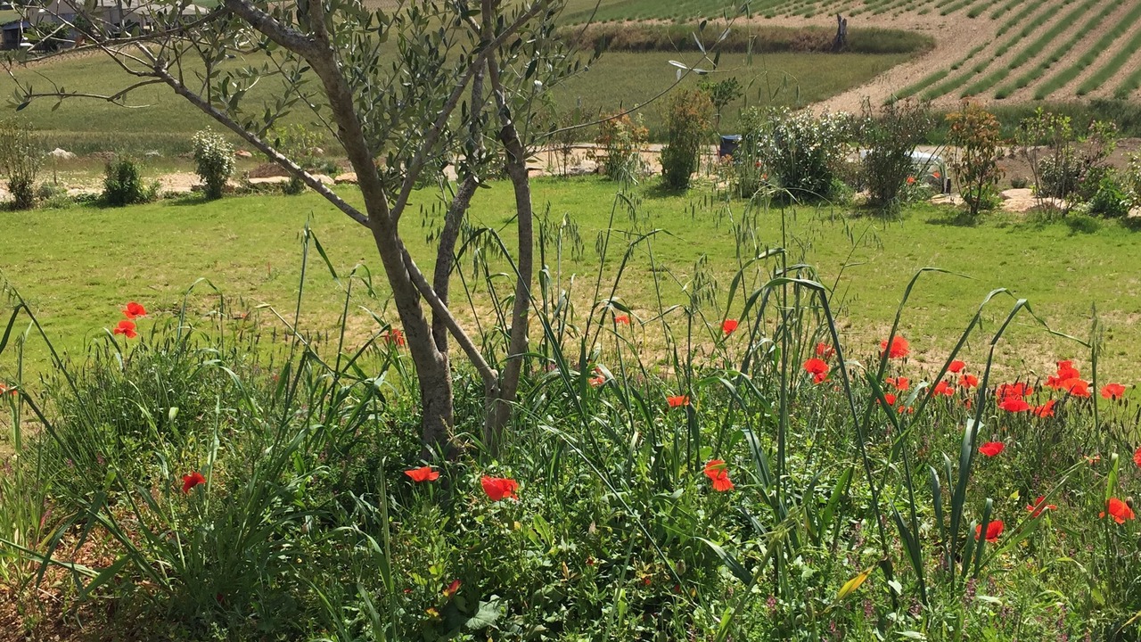 Photo of Outdoor in Moustiers-Sainte-Marie