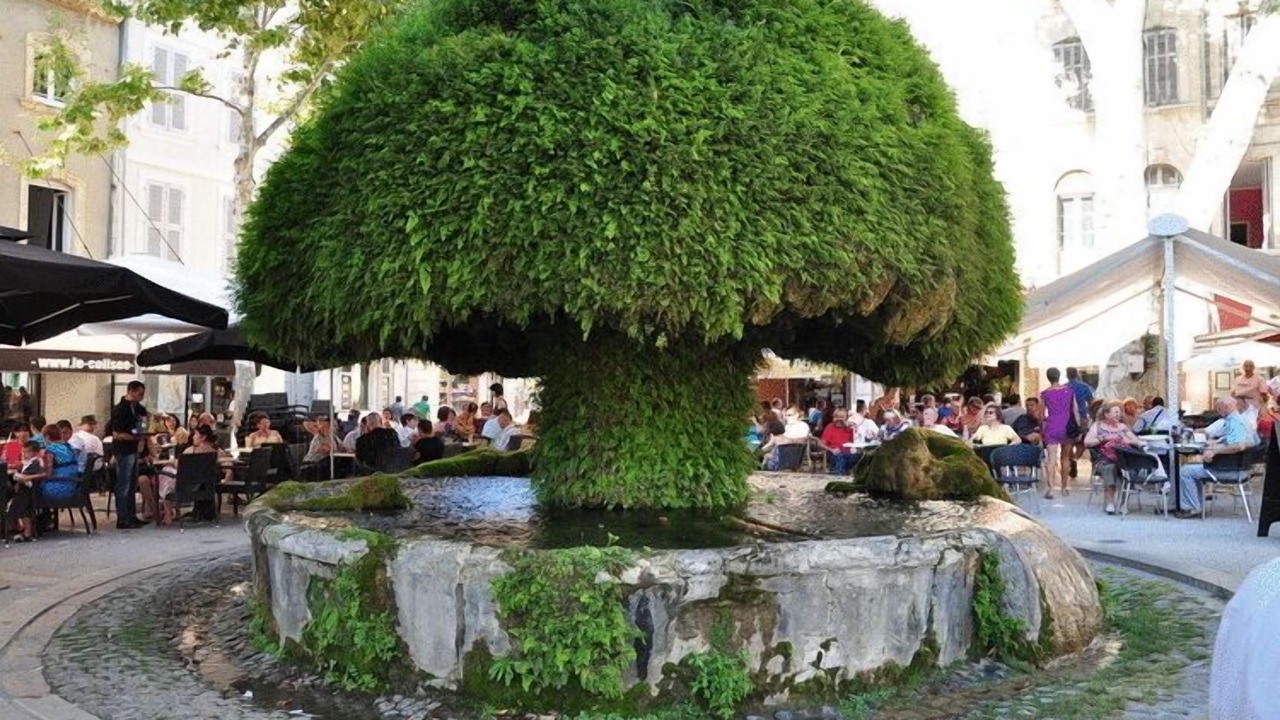Photo of Outdoor in Salon-de-Provence