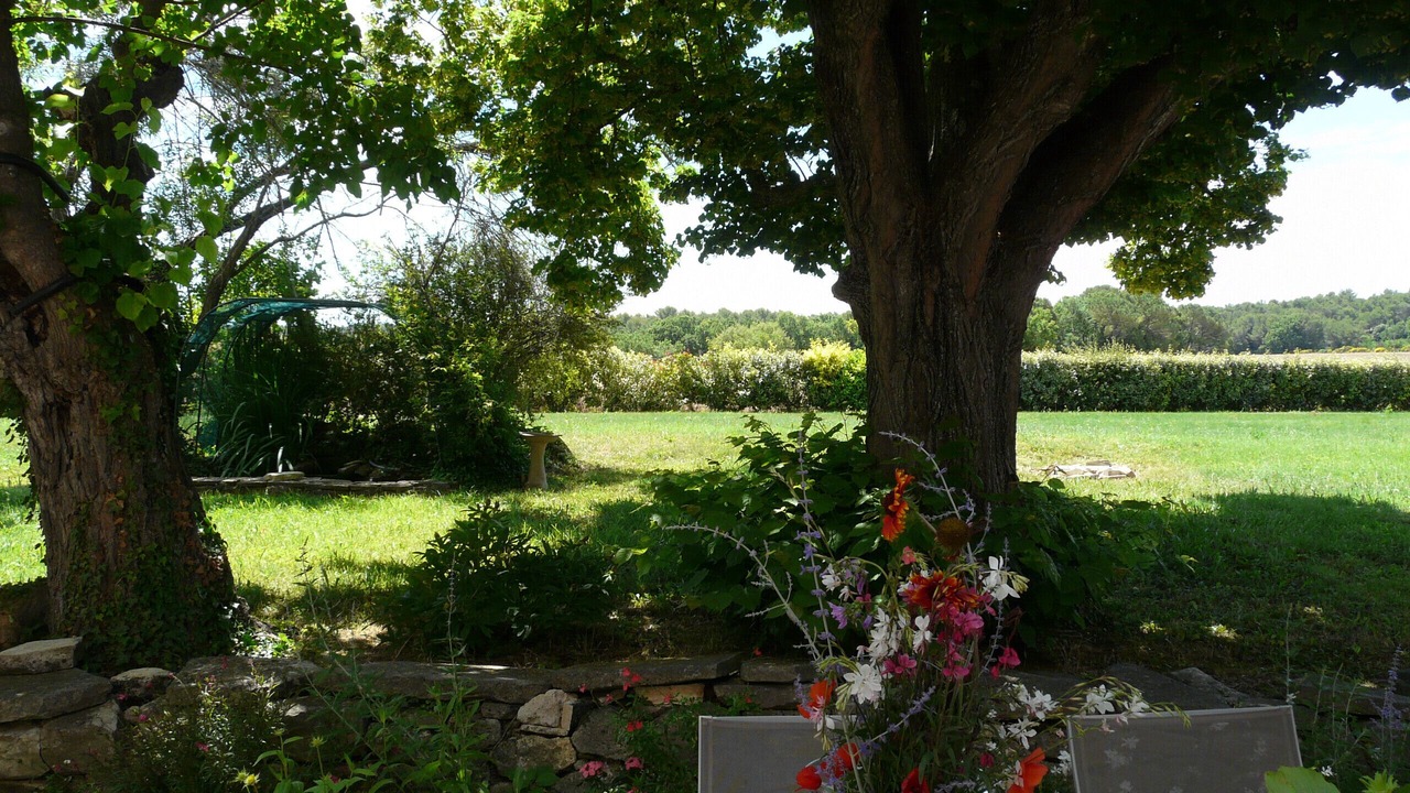 Photo of Outdoor in Venelles