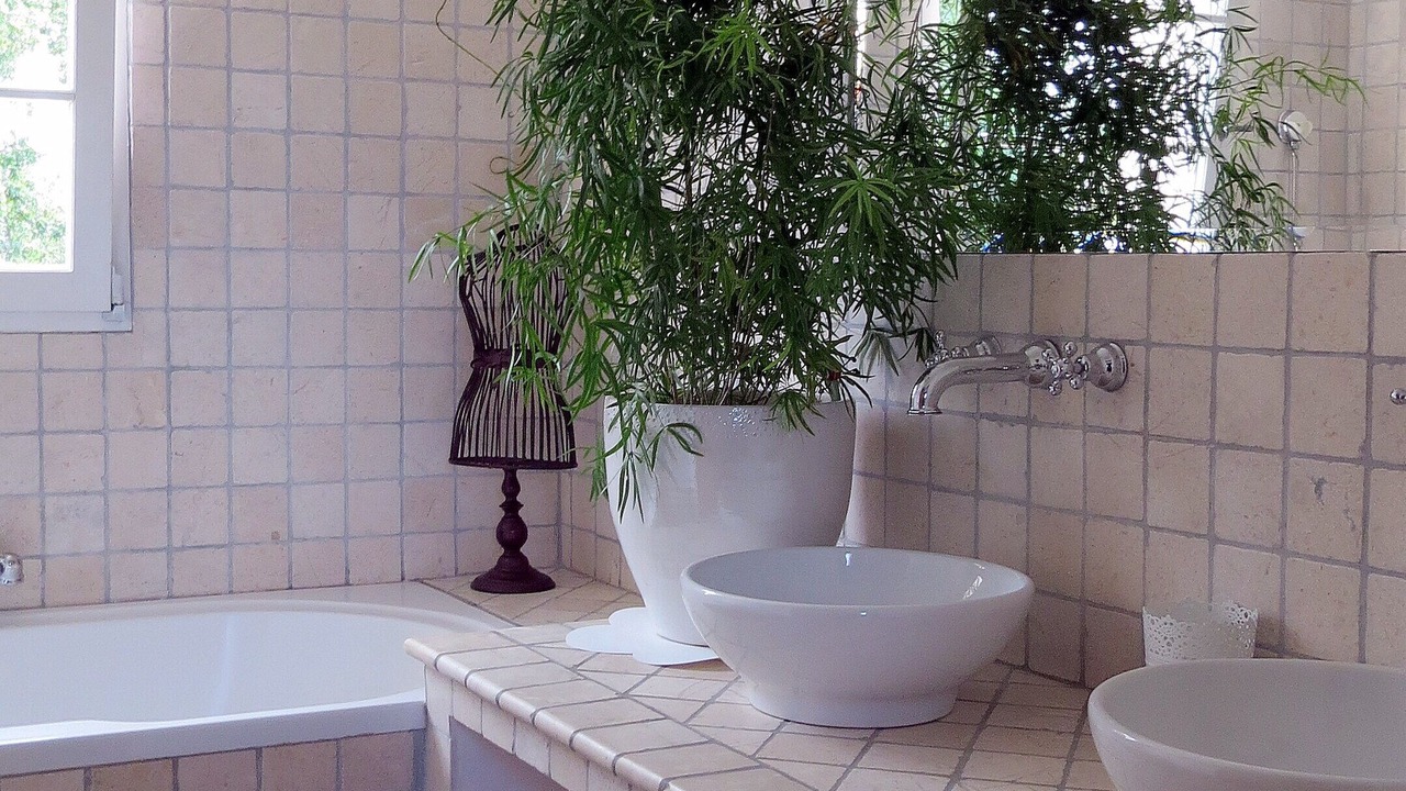 Photo of Bathroom in Noves