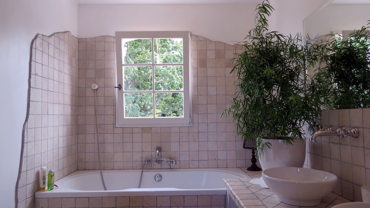 Photo of Bathroom in Noves