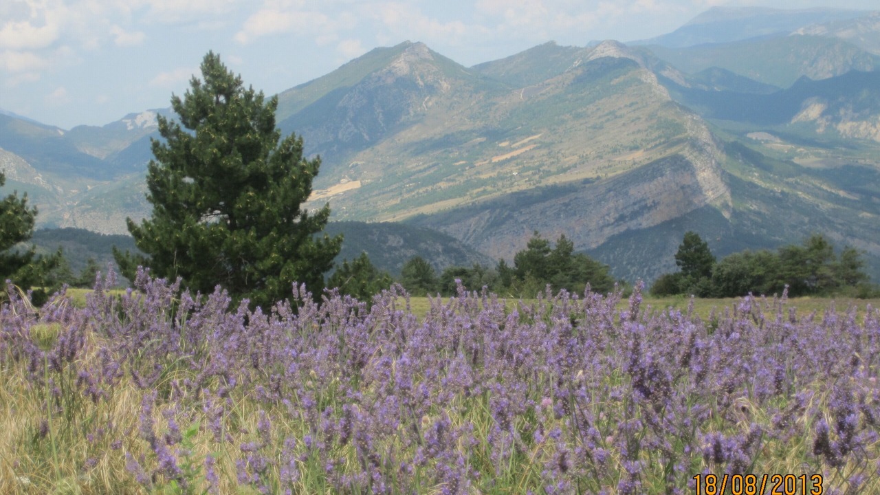 Photo of Outdoor in Eygaliers