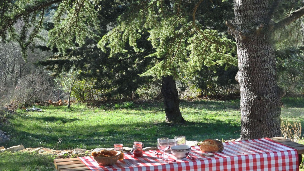 Photo of Outdoor in Cuers