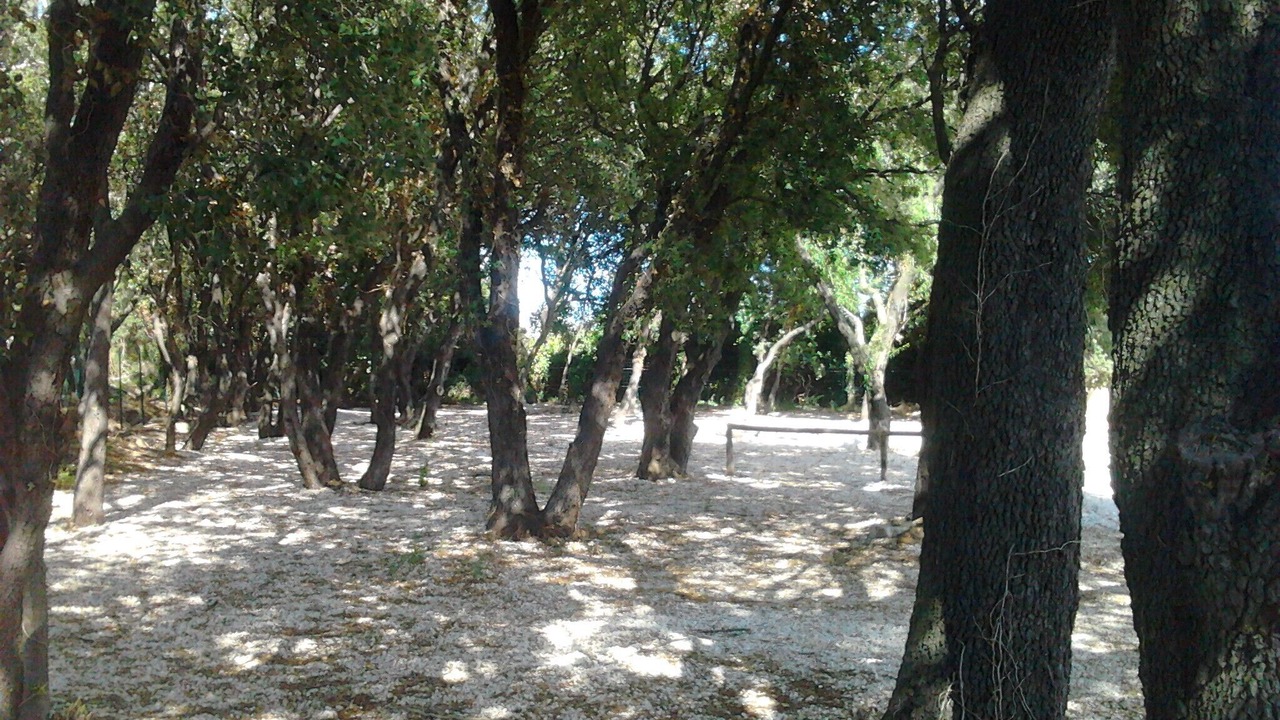 Photo of Others in Mouries