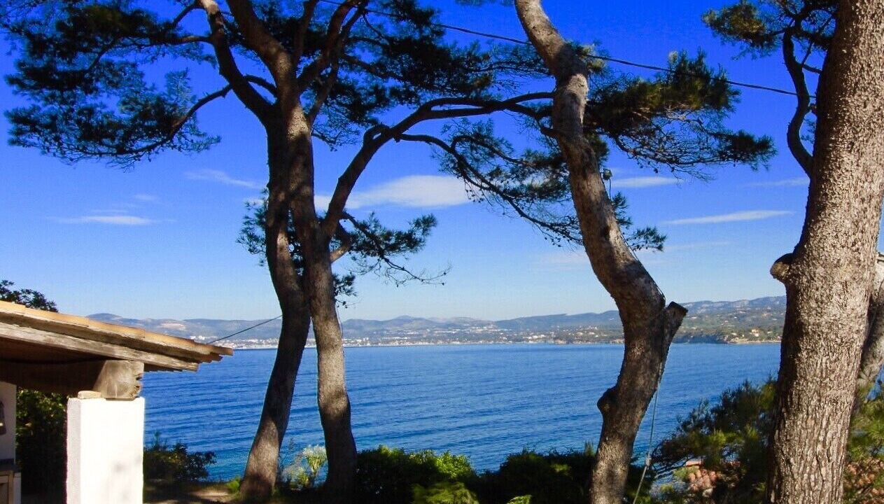 Photo of Outdoor in La Madrague