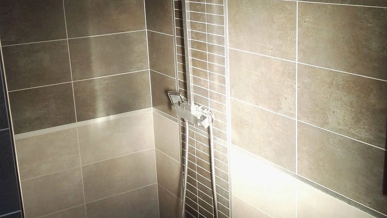 Photo of Bathroom in Saint-Genies-de-Comolas