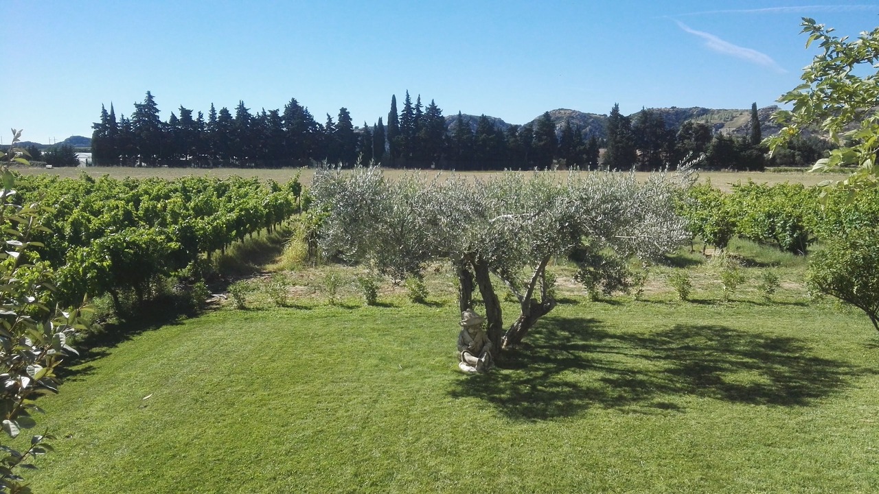 Photo of Outdoor in Saint-Genies-de-Comolas