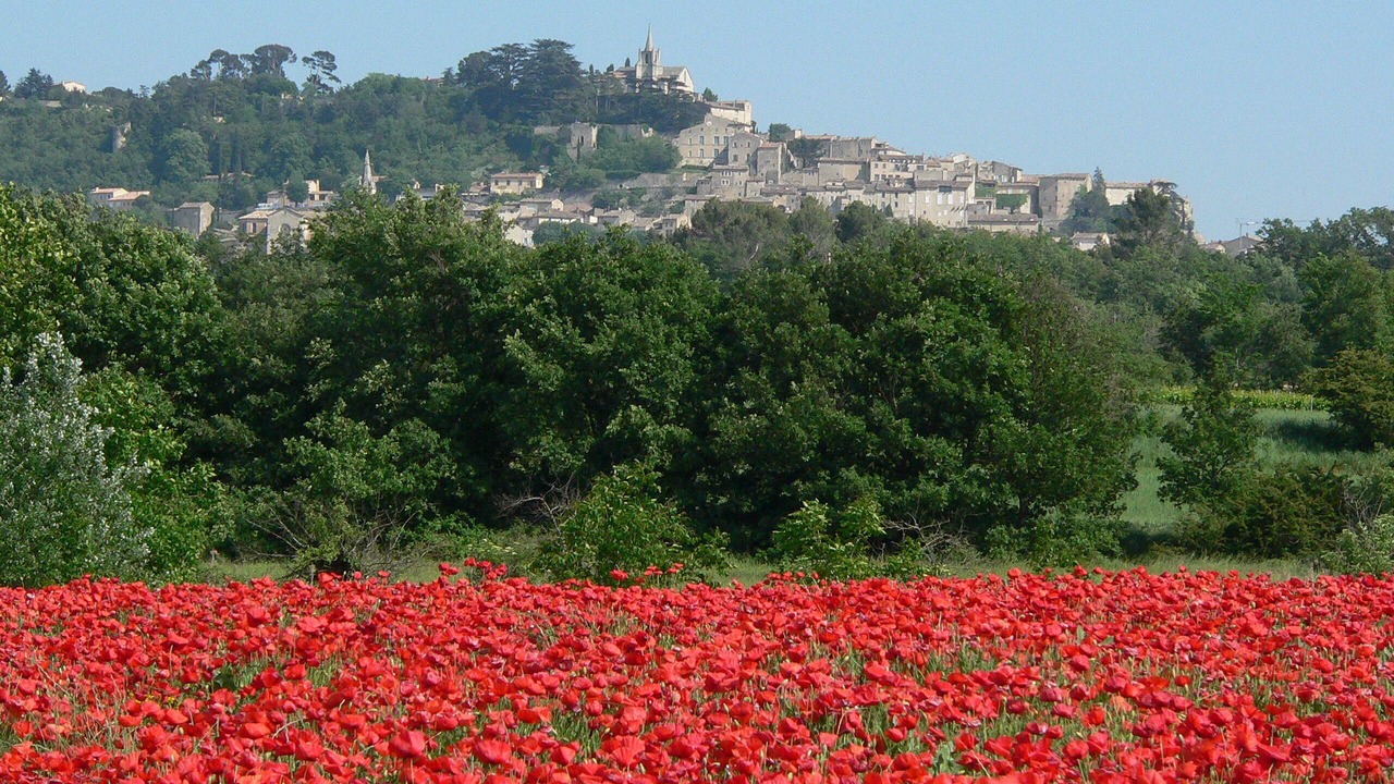 Photo of Outdoor in Bonnieux