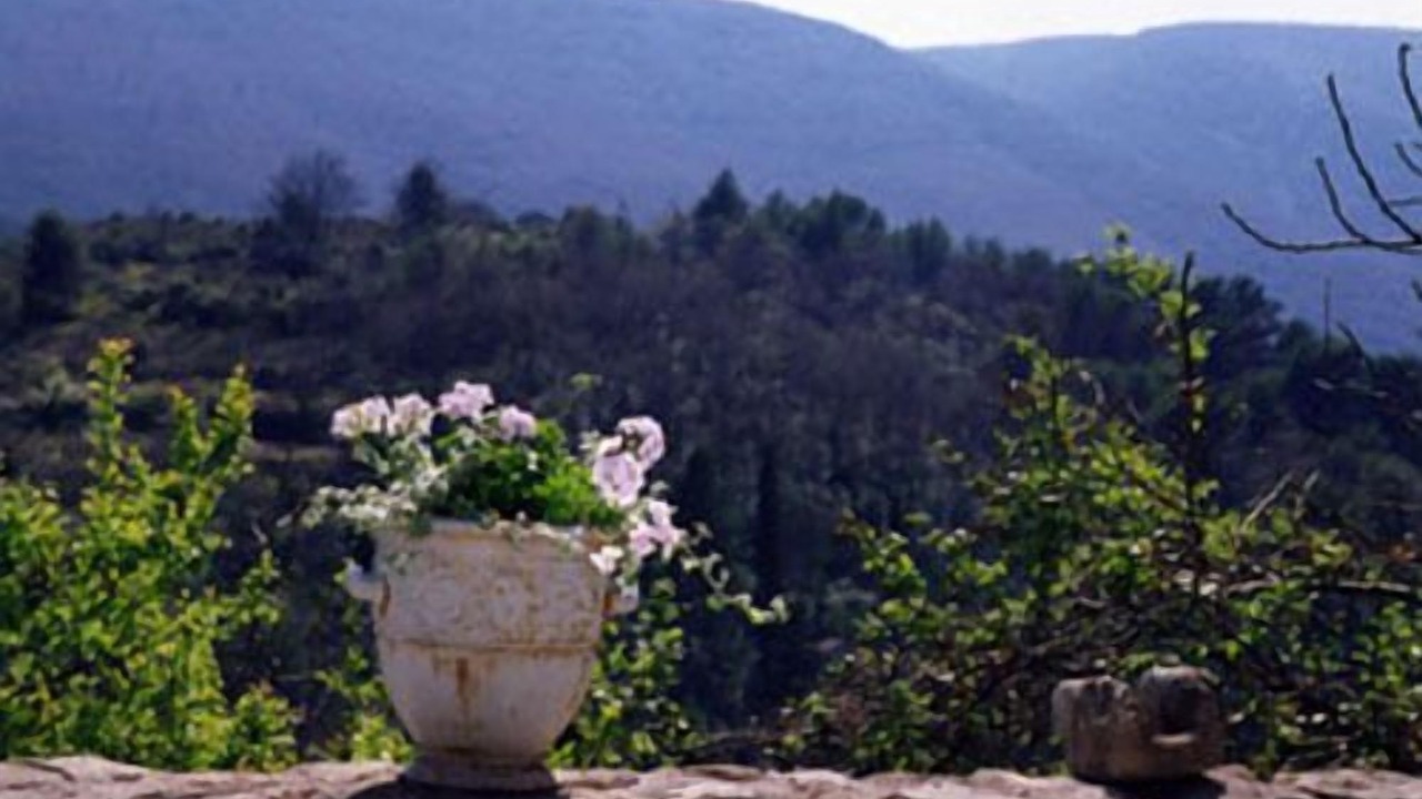 Photo of Outdoor in Bonnieux