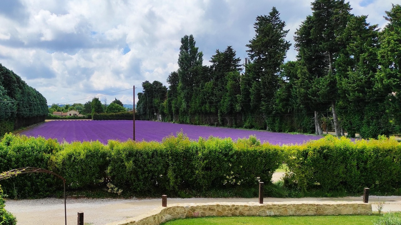 Photo of Outdoor in Le Thor