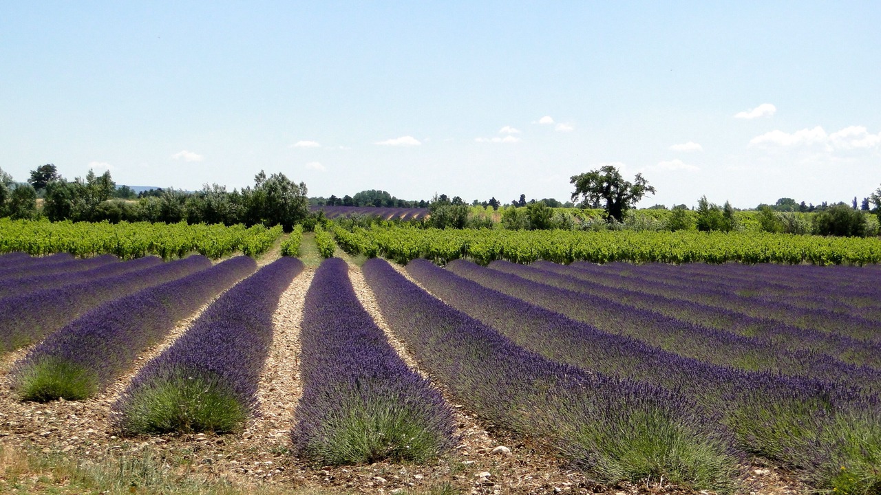 Photo of Outdoor in Grillon