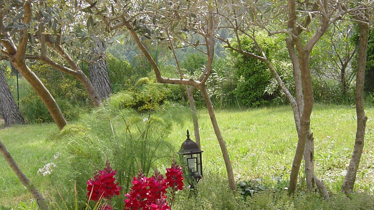 Photo of Outdoor in Figanieres