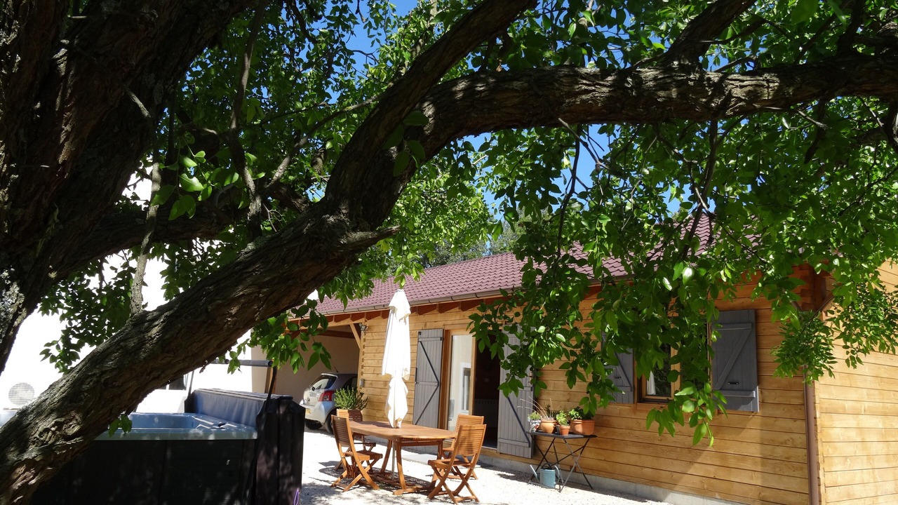 Photo of Outdoor in Orange