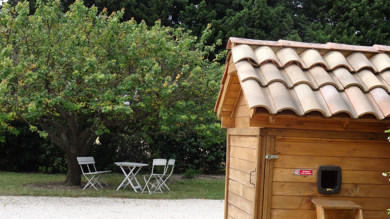 Photo of Outdoor in Orange