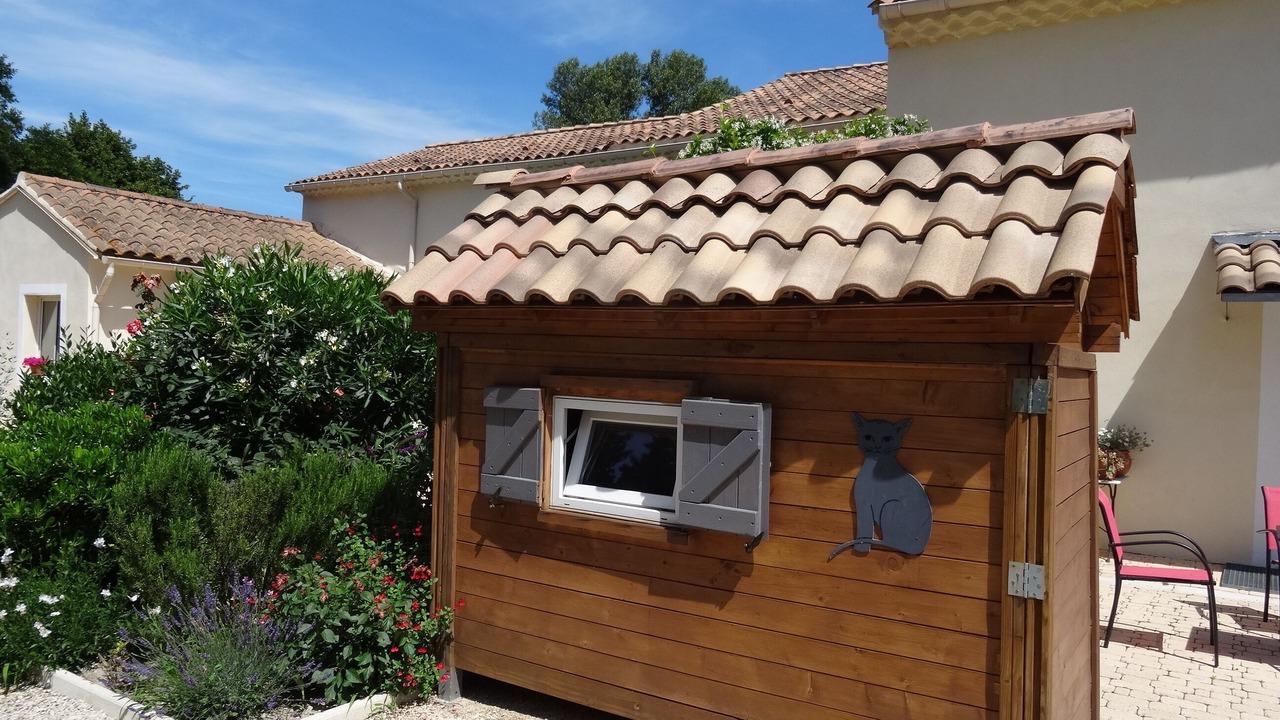 Photo of Outdoor in Orange