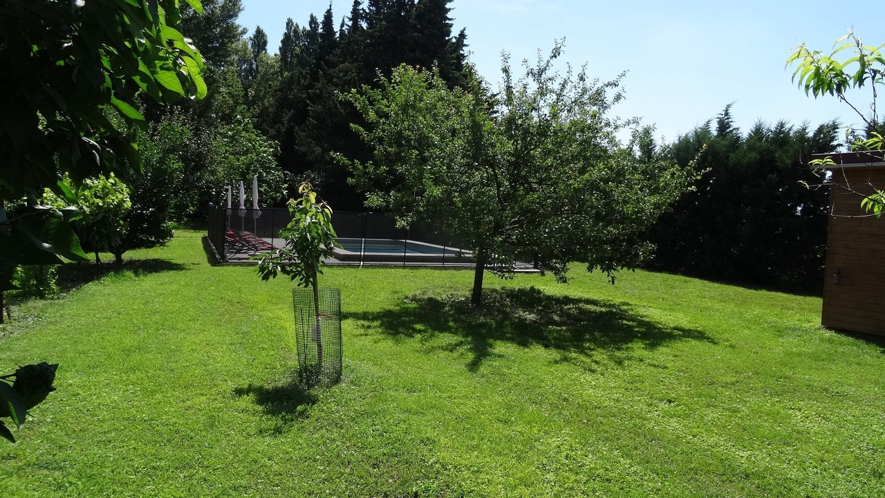 Photo of Outdoor in Orange