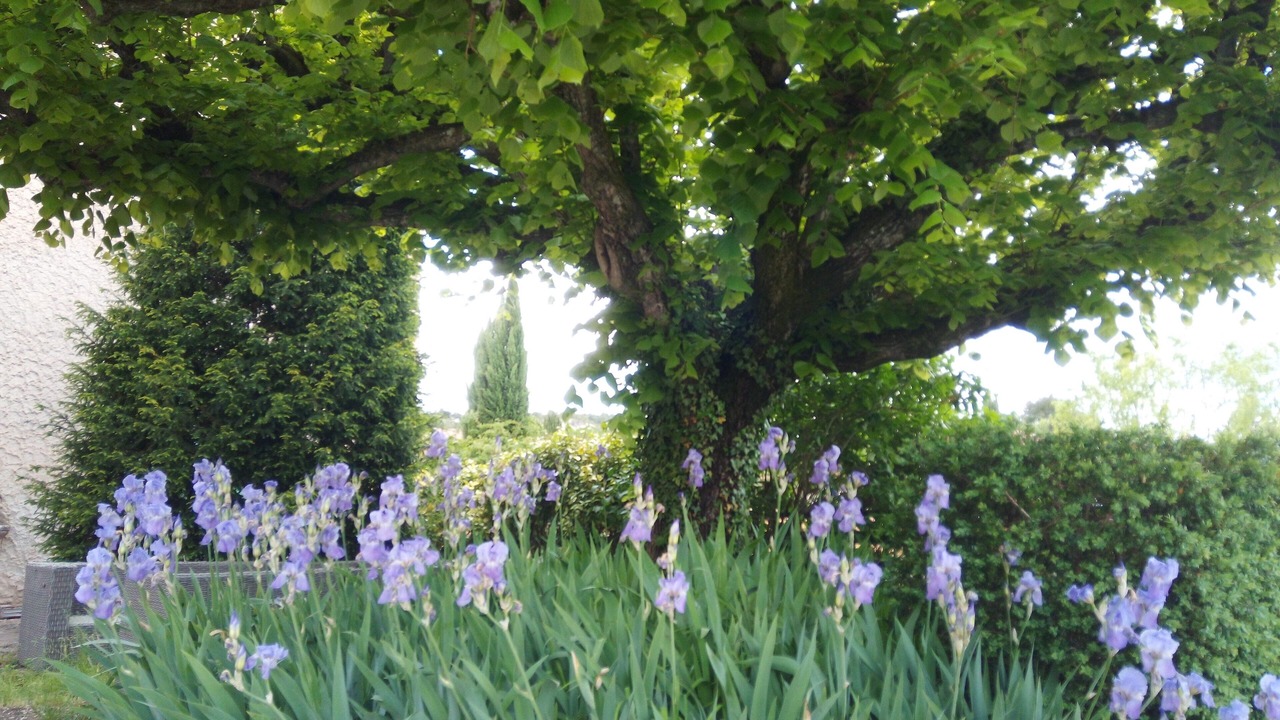 Photo of Outdoor in Mormoiron