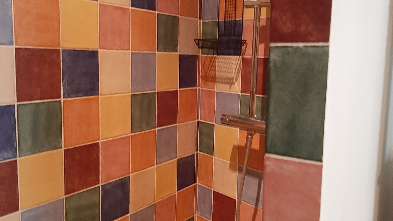 Photo of Bathroom in Caromb