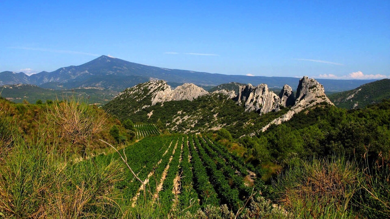 Photo of Outdoor in Caromb